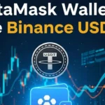 MetaMask Wallet Me Binance USDT Add Kaise Karein